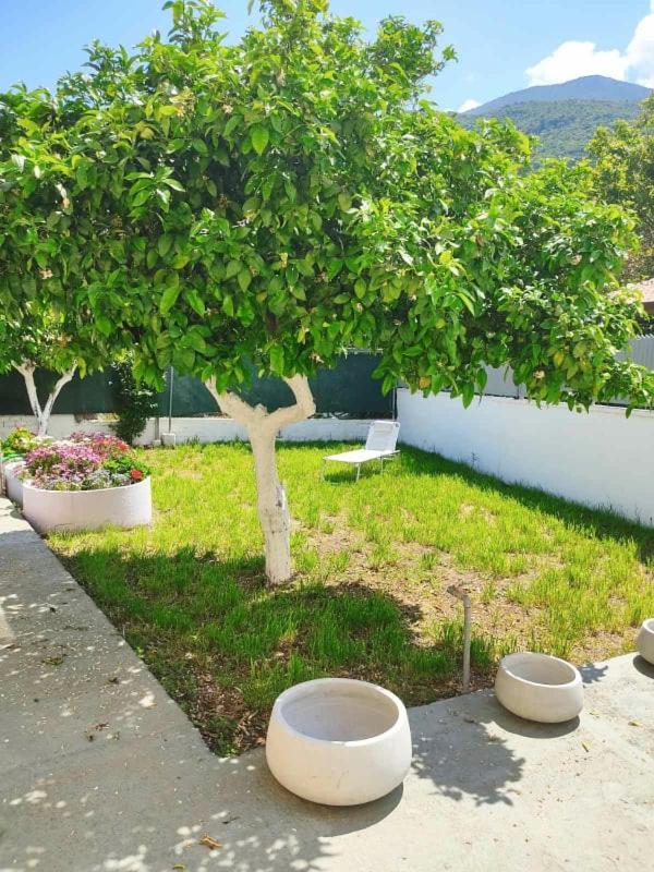 Casa Di Athi Sami (Kefalonia)